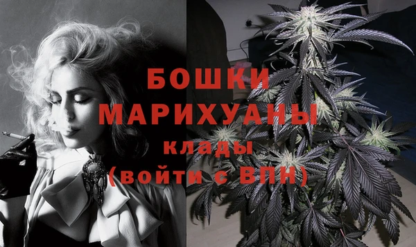 твердый Богданович