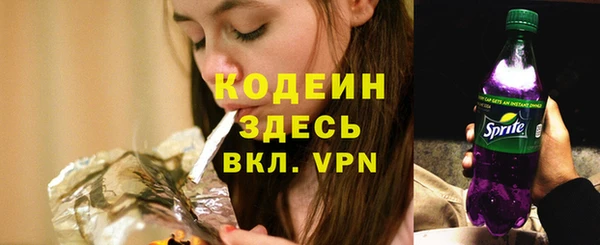 твердый Богданович