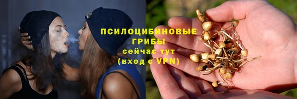 твердый Богданович