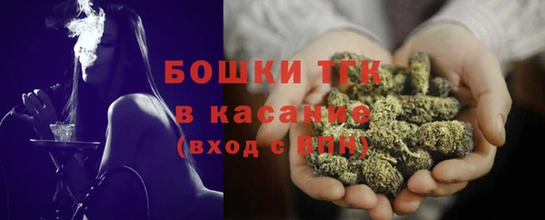амф Богородицк