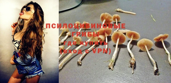 амф Богородицк