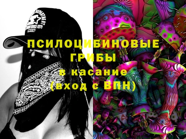 амф Богородицк