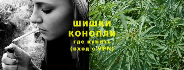 амф Богородицк