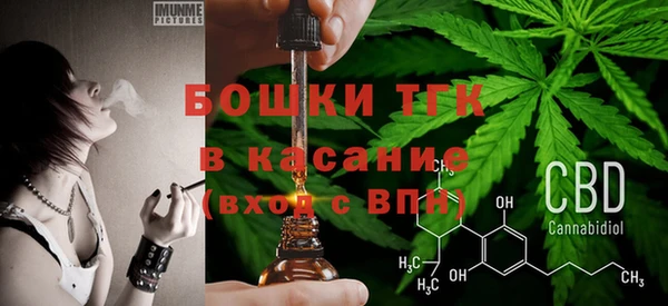 амф Богородицк