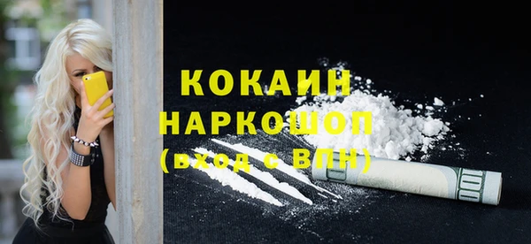 твердый Богданович